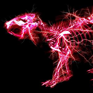 最新在线视频91
