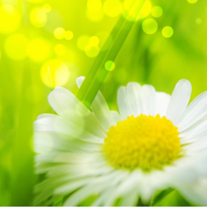 最新在线视频91
