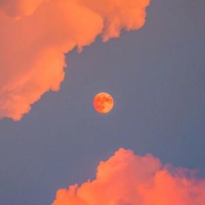 最新在线视频91
