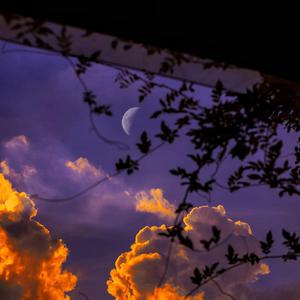 最新在线视频91
